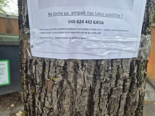 Pogrešani Coco