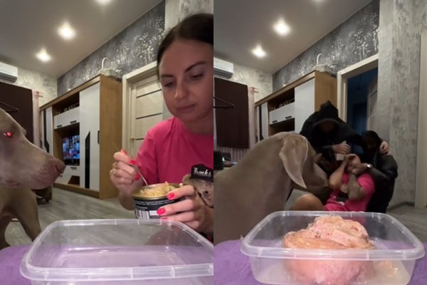 Želela je prelisičiti svojega psa, a ji ni uspelo: "vlomilci" ga niso zanimali