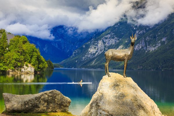 Strokovnjaki: Kopanje v Bohinju je varno. Na mestu pogina psa opozorilna tabla