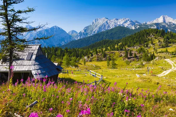 Na vidiku osvežitev, a do takrat se bodo vrstili vse bolj vroči dnevi