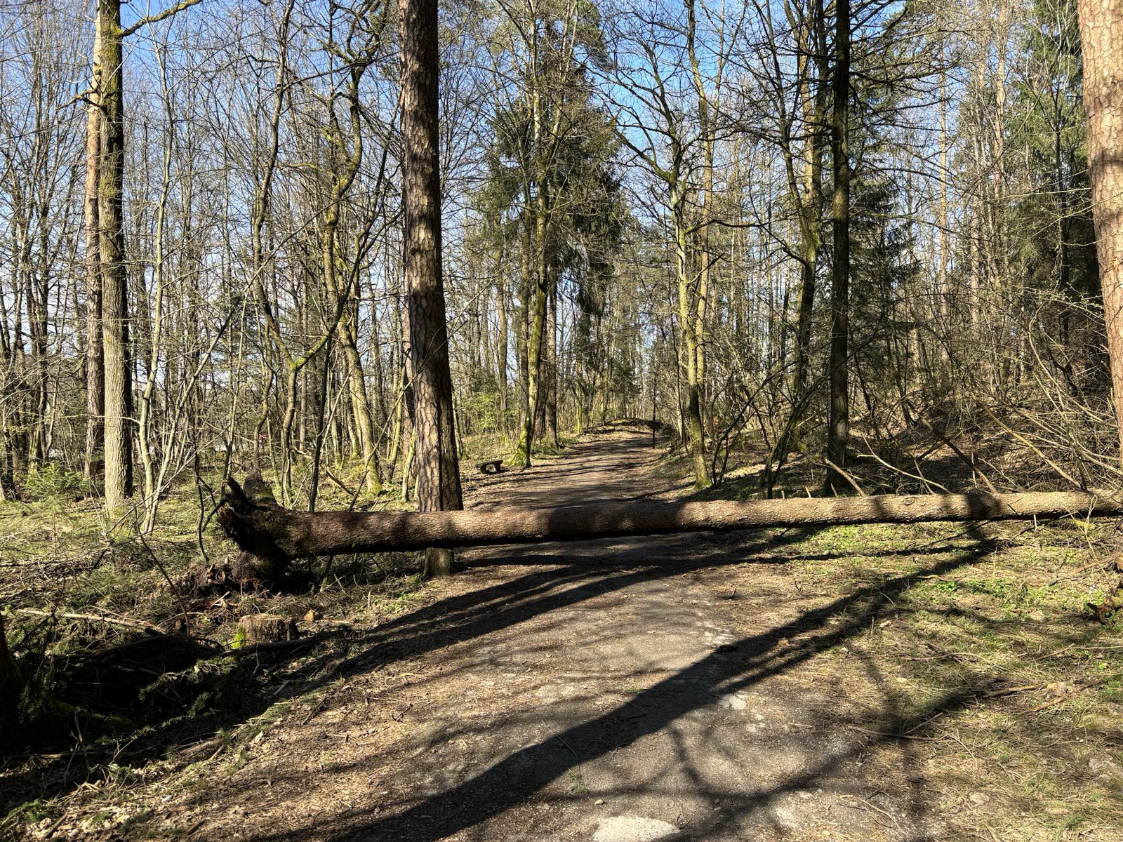 Foto: Bralec